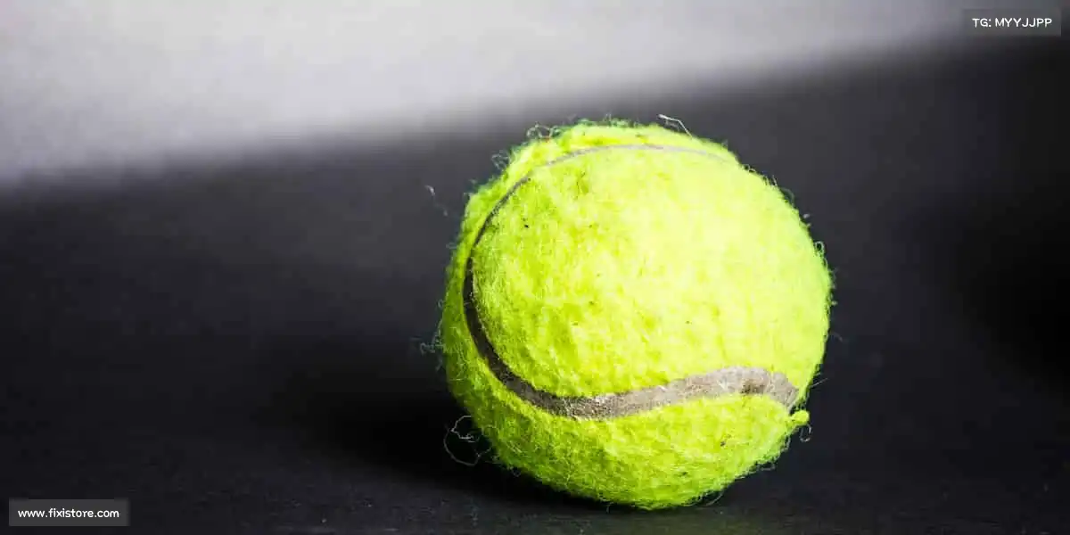 我们的品牌价值